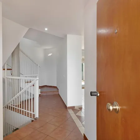 Obsidian Olivino Miraverde * אדחה