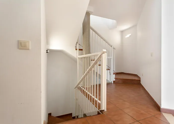 Obsidian Olivino Miraverde