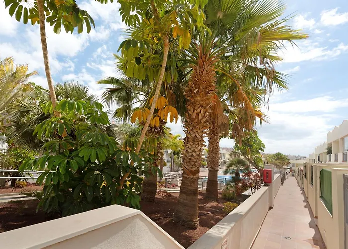 Appartement Obsidian Olivino Miraverde *