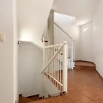 Obsidian Olivino Miraverde