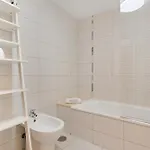 Obsidian Olivino Miraverde Daire *