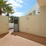 Obsidian Olivino Miraverde *