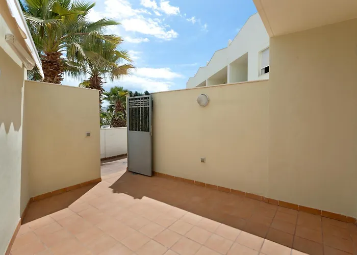 Obsidian Olivino Miraverde *